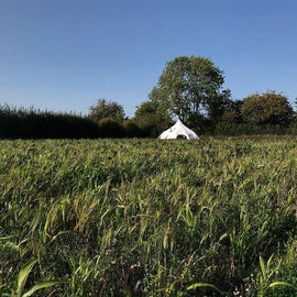 Micro Glampsites - Get A Return On Investment In One Season With Lotus Belle - Lotus Belle Tents