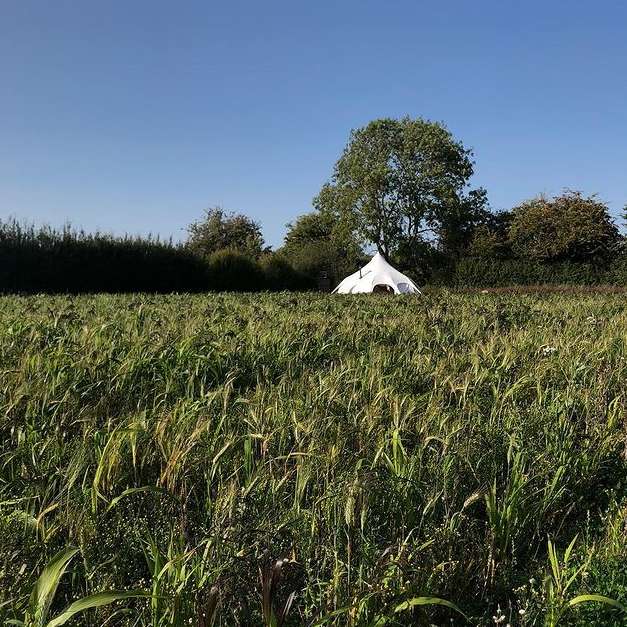 Micro Glampsites - Get A Return On Investment In One Season With Lotus Belle - Lotus Belle Tents